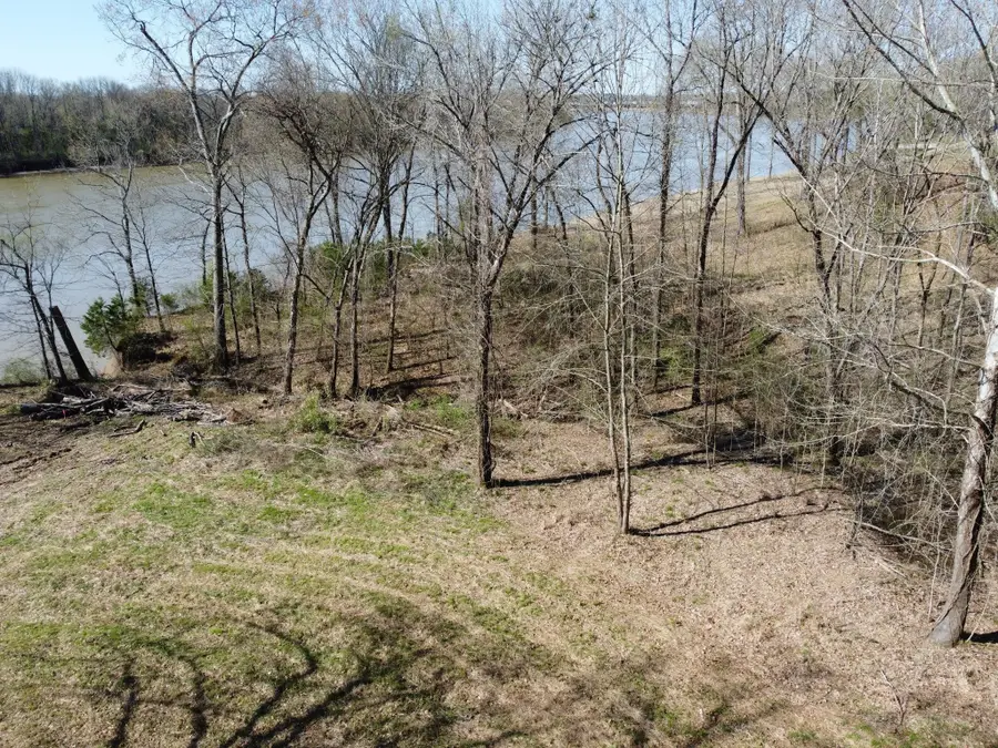 6 Island View Dr, Bath Springs, TN 38311 - #3