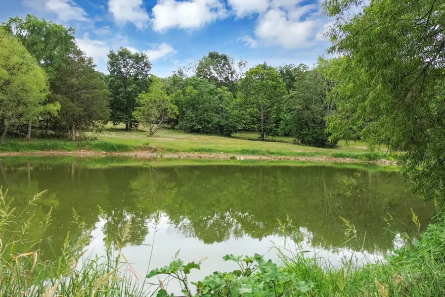 6770 Bly Trice Rd, College Grove, TN 37046 - #3