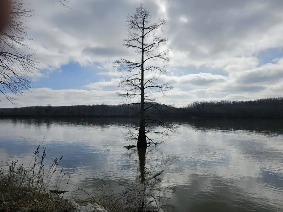 199 Hardin Bottom River Rd, Clifton, TN 38425 - #2