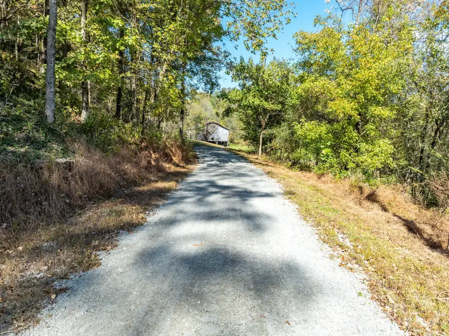 564 Mt Olive Cemetery Rd, Lynnville, TN 38472 - Image #3