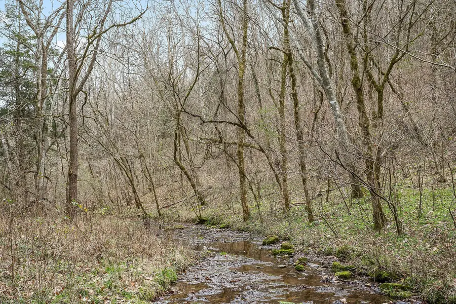 0 Lancaster Hwy, Hickman, TN 38567 - Image #2