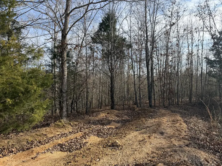 0 Highway 50 W, Centerville, TN 37033 - Image #2