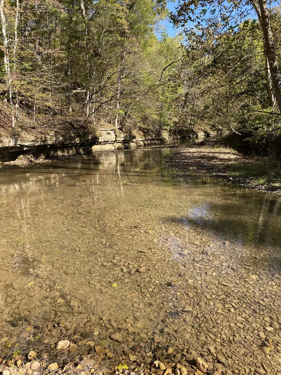 901 Britton Springs Rd, Clarksville, TN 37042 - Image #3