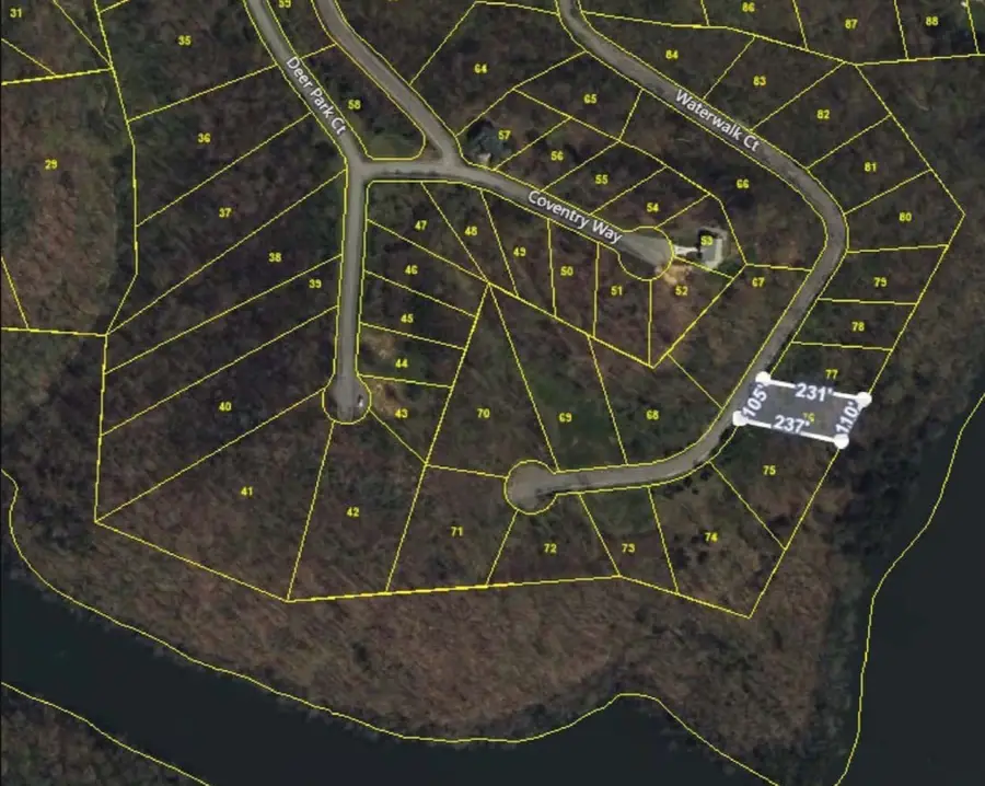 76 Waterwalk Way, Smithville, TN 37166 - Image #2