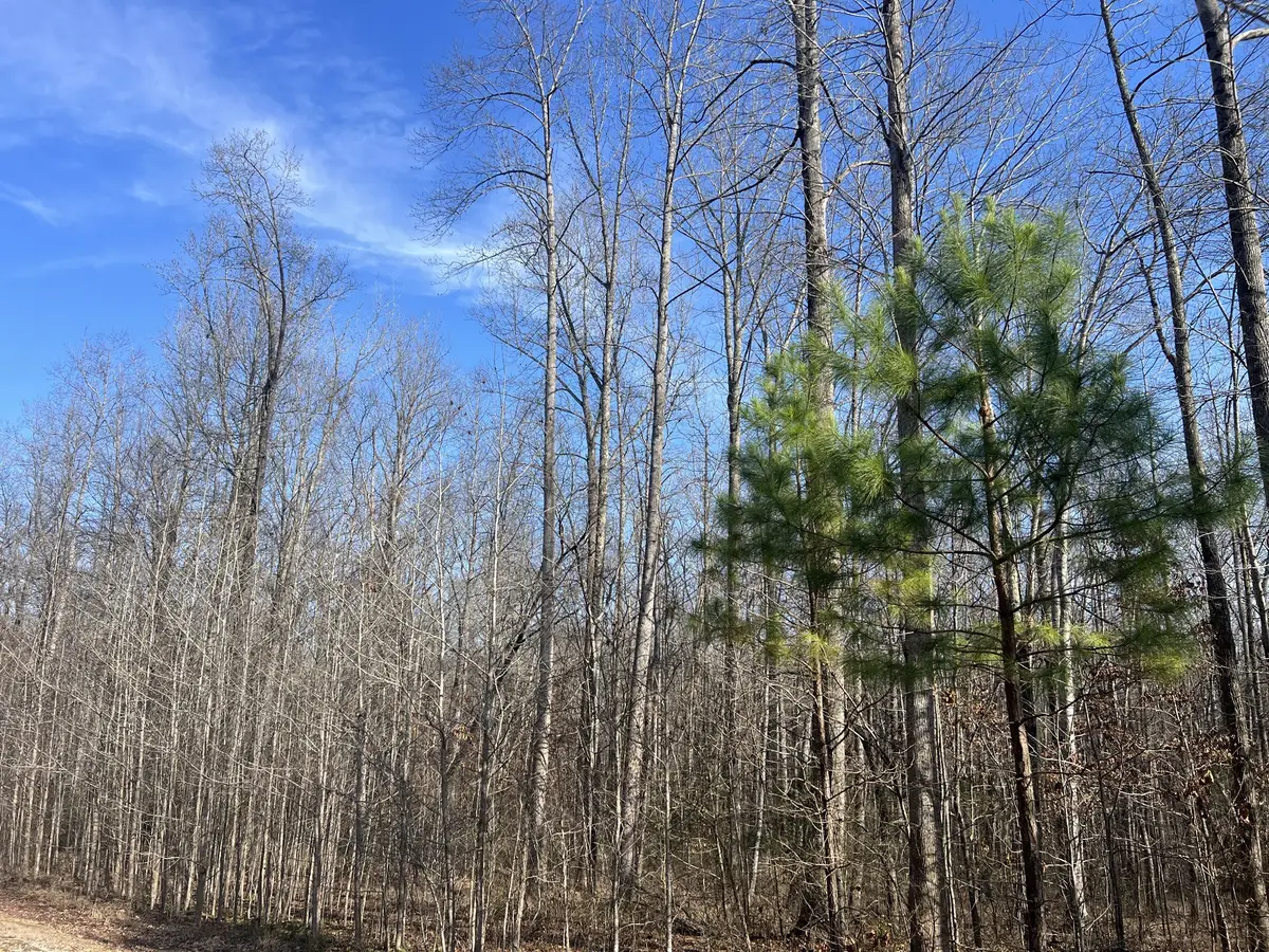 240 War Eagle Dr Lot 121, Cedar Grove, TN 38321 - Image #1