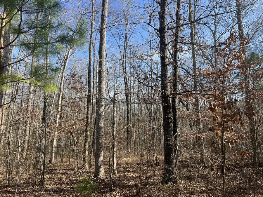 240 War Eagle Dr Lot 121, Cedar Grove, TN 38321 - Image #3