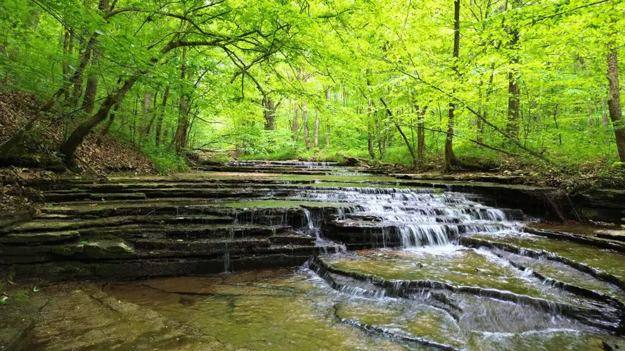 0 Lock A Rd, Charlotte, TN 37036 - Image #2