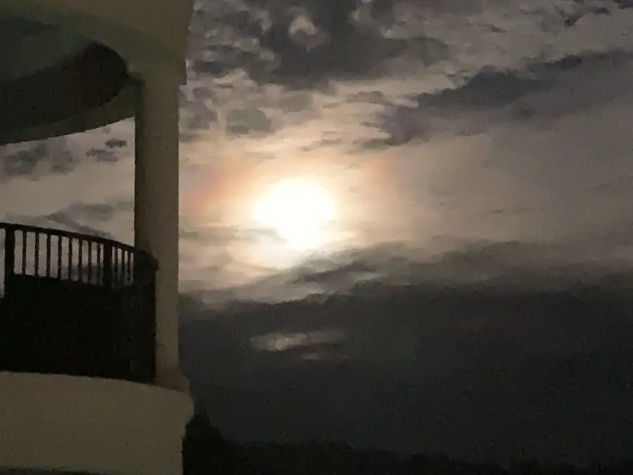 400 Warioto Way #308, Ashland City, TN 37015 - Image #2