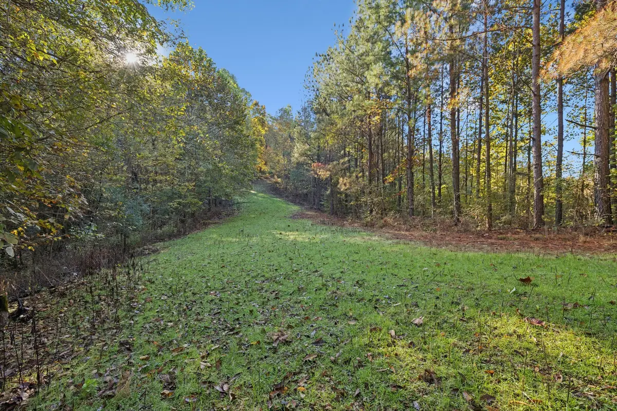 0 W Sheepneck Rd, Mount Pleasant, TN 38474 - Image #1