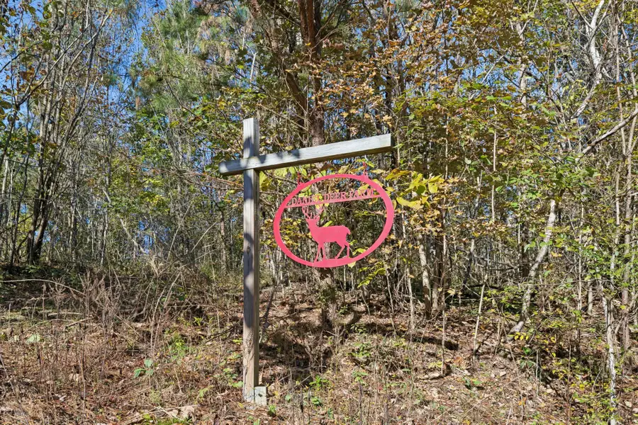 0 W Sheepneck Rd, Mount Pleasant, TN 38474 - Image #2