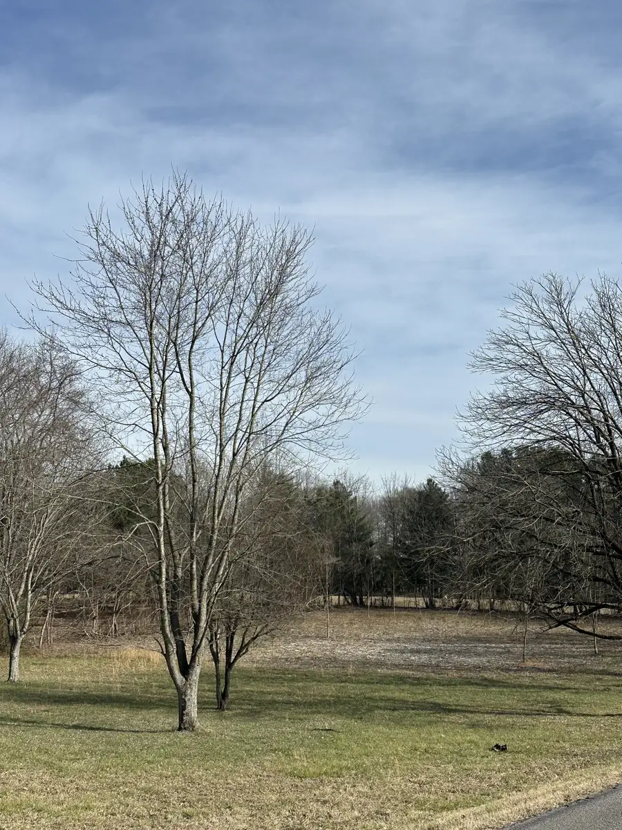 1991 Raymond Hodges Rd, Cottontown, TN 37048 - Image #2