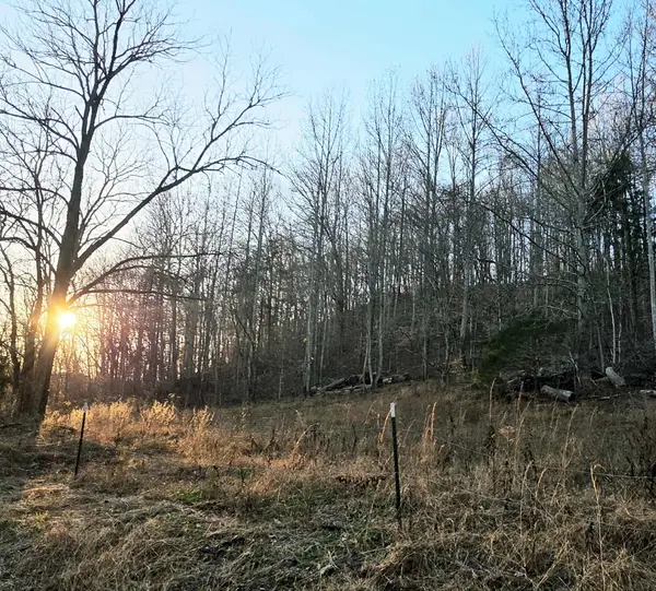 2400 Chicken Creek Rd, Pulaski, TN 38478