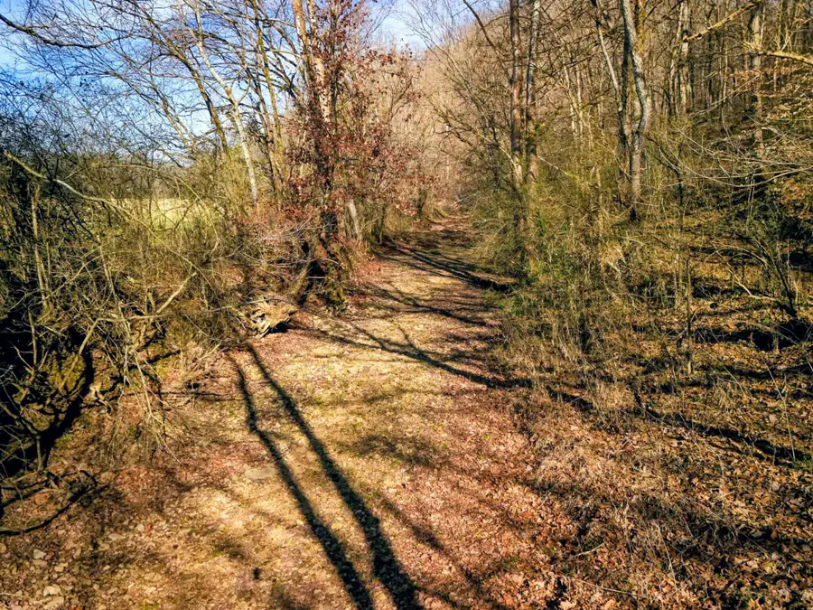 2400 Chicken Creek Rd, Pulaski, TN 38478 - Image #3