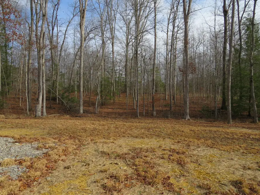 4345 Chapel Hill Rd, Crawford, TN 38554 - Image #3