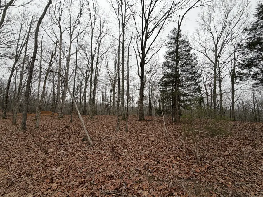 0 Highway 50 East, Centerville, TN 37033 - Image #3