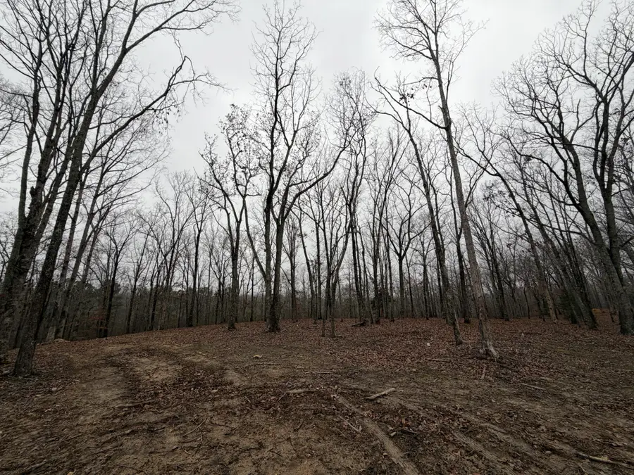 0 Highway 50 East, Centerville, TN 37033 - Image #3