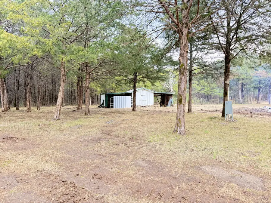 160 Osteen Ln, Chapel Hill, TN 37034 - Image #3