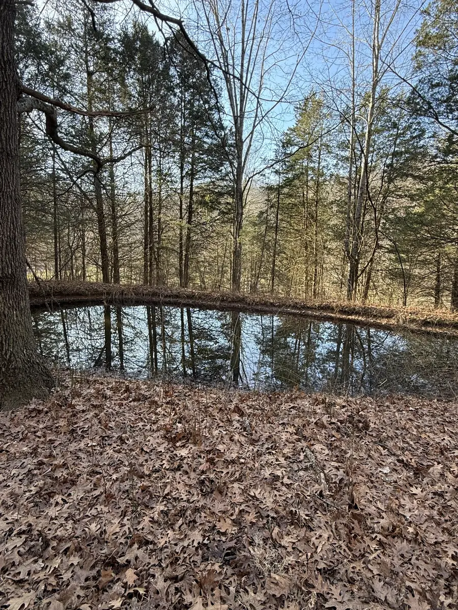 1894 Hicks Hollow Rd, Westmoreland, TN 37186 - Image #3