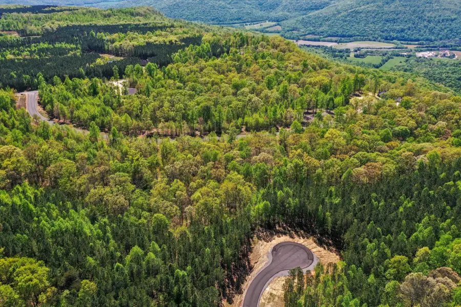 0 Honeybee Court, Jasper, TN 37347 - Image #3