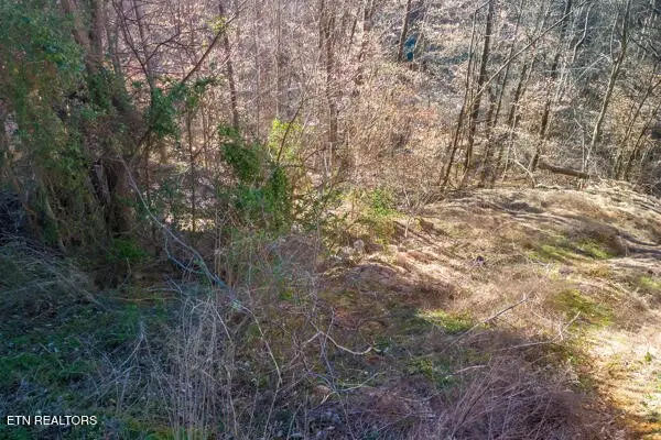 636 Stockton Drive, Sevierville, TN 37876 - #1