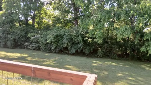 1603 Elizabeth Rd, Nashville, TN 37218 - Image #3