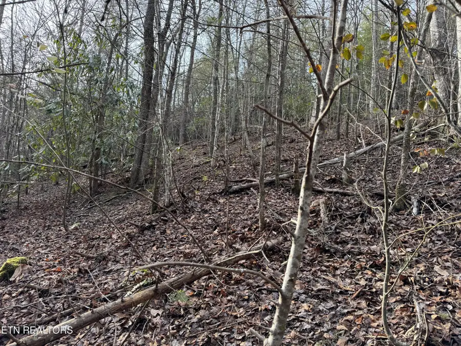 0 Black Gum Rd, Gatlinburg, TN 37738 - Image #3