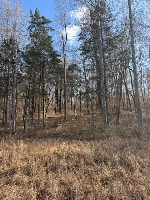 3927 Highway 70 E, Waverly, TN 37185 - Image #2