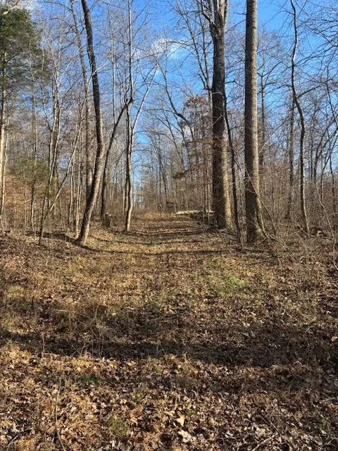 3927 Highway 70 E, Waverly, TN 37185 - Image #3