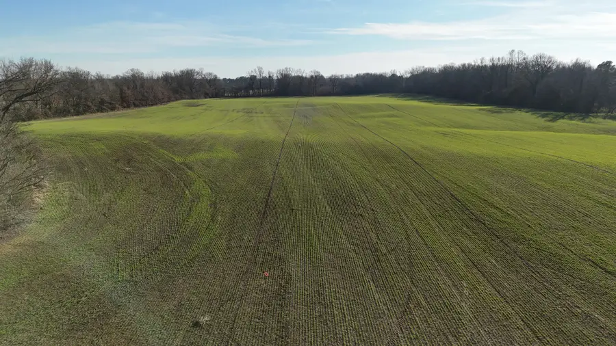 0 Chambers Rd, Millington, TN 38053 - Image #3