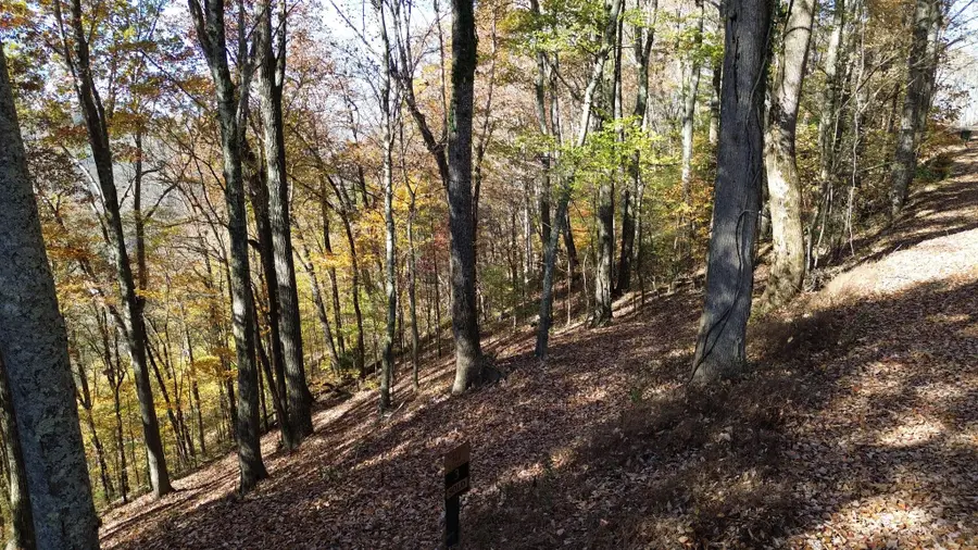 0 Savannah Dr, Smithville, TN 37166 - Image #2