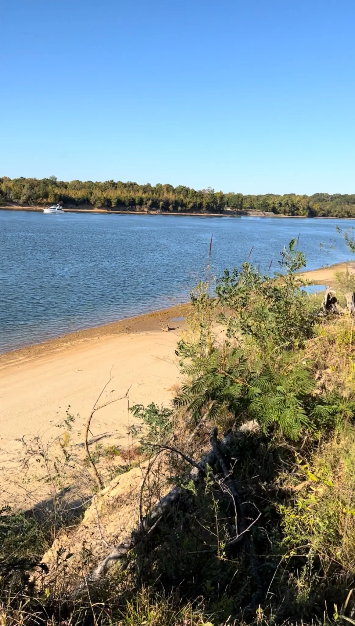 5335 Cravens Rd, Savannah, TN 38372 - Image #1