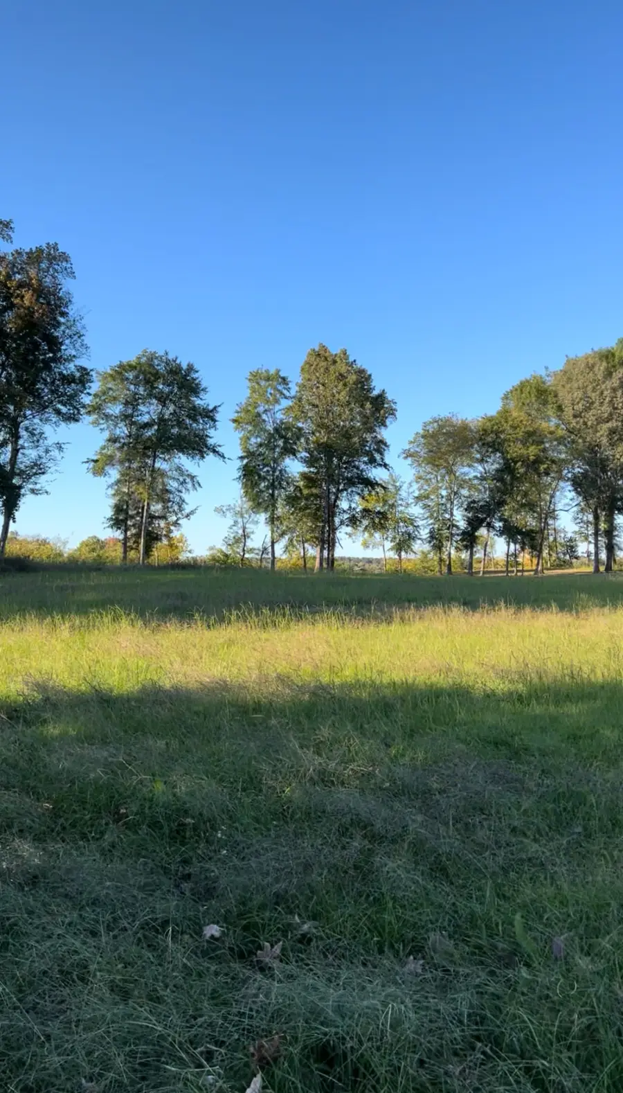 5335 Cravens Rd, Savannah, TN 38372 - Image #2