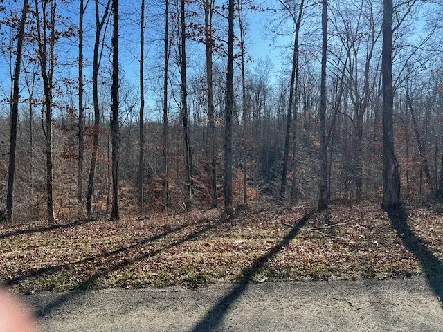 7 Slaughter Rd N, Primm Springs, TN 38476 - Image #2