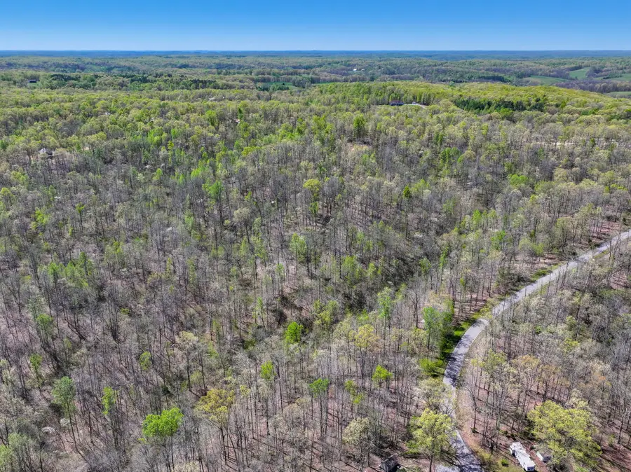 7 Slaughter Rd N, Primm Springs, TN 38476 - Image #3