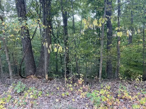 1241 Broadway Ave, New Johnsonville, TN 37134 - Image #1