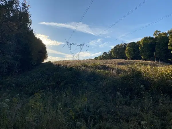 1241 Broadway Ave, New Johnsonville, TN 37134 - Image #2