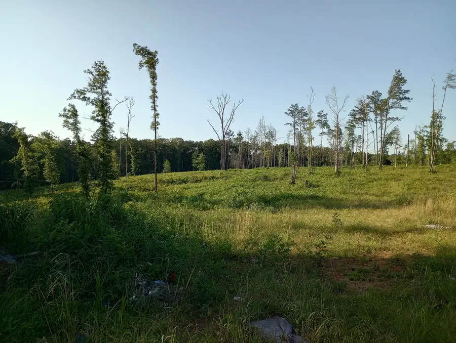 0 Travis Boyd Road, Mansfield, TN 38236 - Image #3