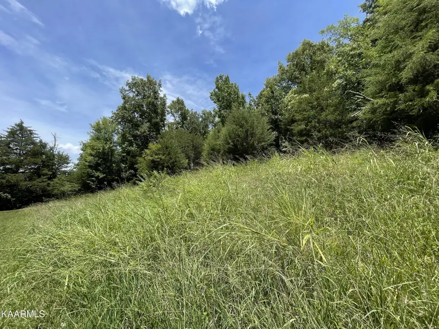 102 Lakeshore Way, Newport, TN 37821 - Image #2