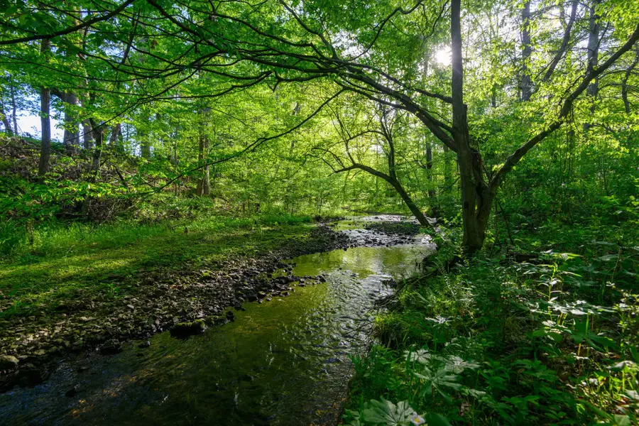 0 Pocahontas Rd, Morrison, TN 37357 - Image #3