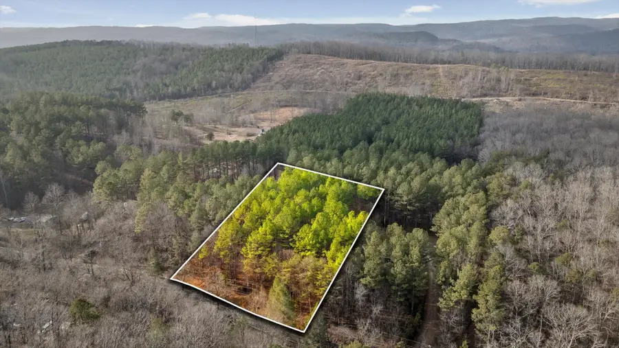 14675 Stormer Road, Bakewell, TN 37373 - Image #2