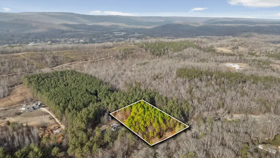 14675 Stormer Road, Bakewell, TN 37373 - Image #3