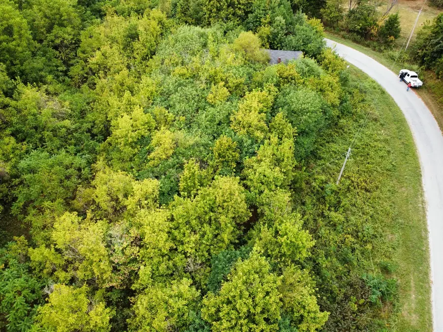 1295 Fesmire Rd, Cedar Grove, TN 38321 - Image #3