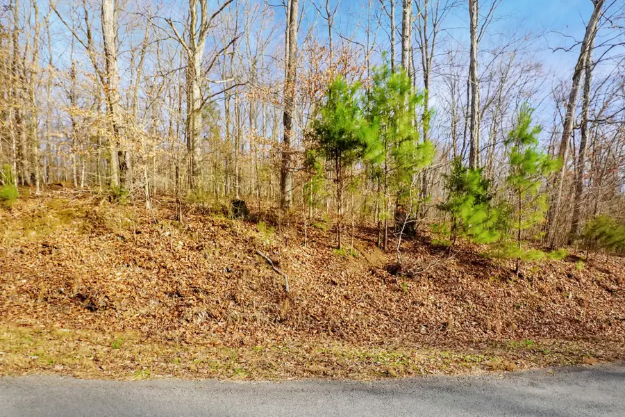 0 Frank Earhart Road, Dover, TN 37058 - Image #2