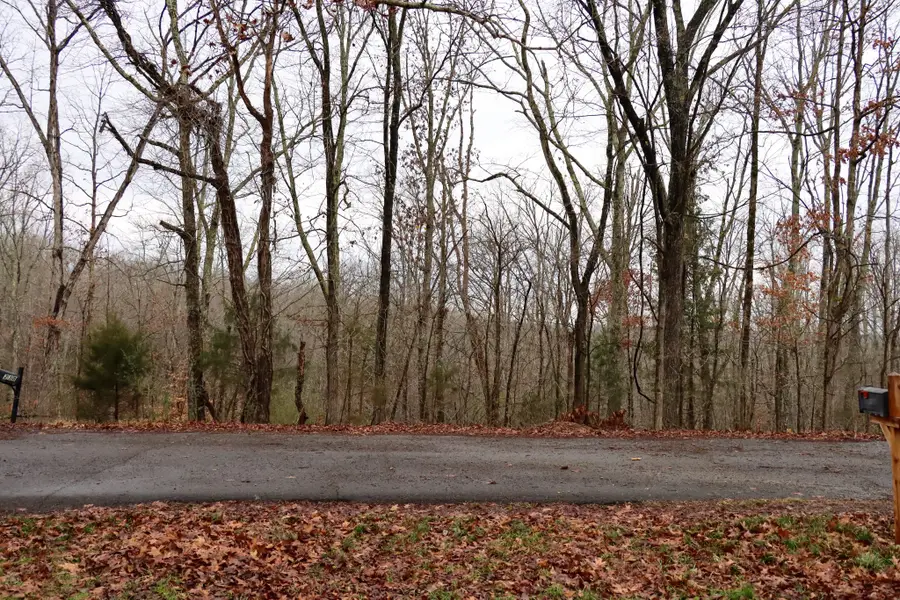 234 W End Dr, Waverly, TN 37185 - Image #3