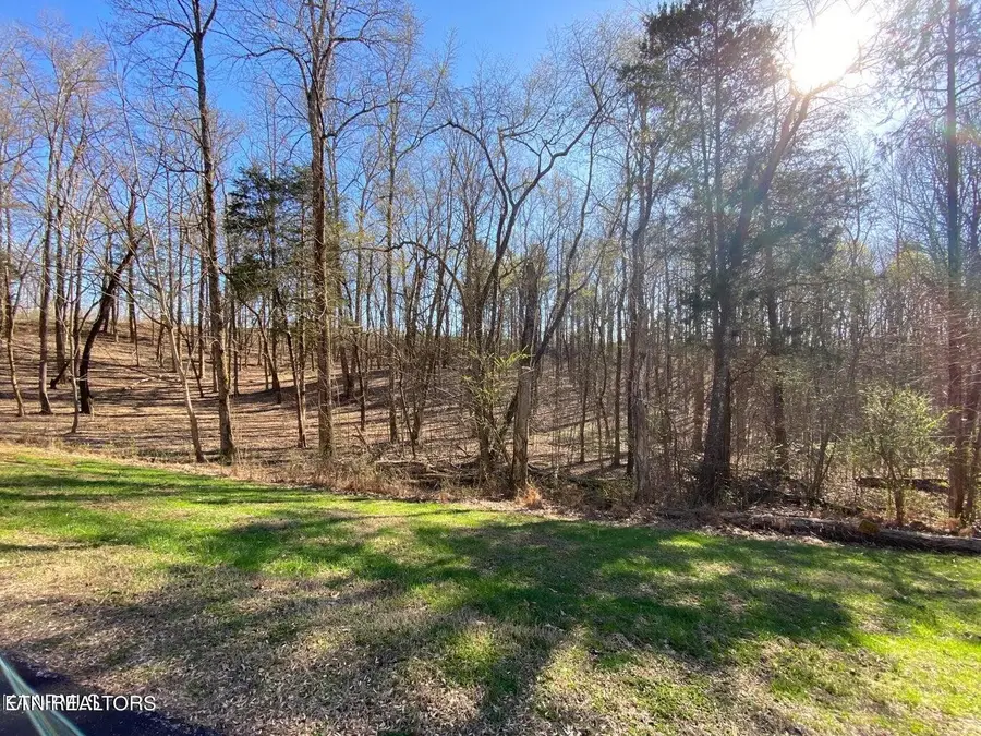 0 Eagle Ridge Drive, Rockwood, TN 37854 - Image #2