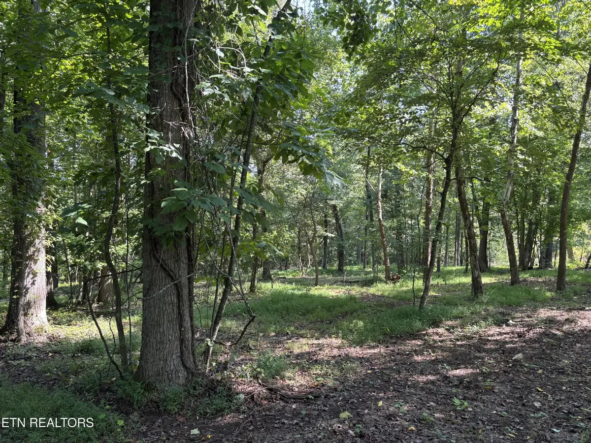 371 Walking Horse Tr, Rockwood, TN 37854 - Image #1