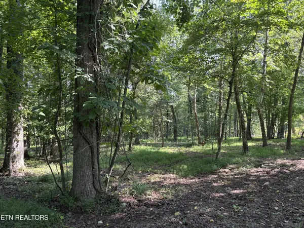 371 Walking Horse Tr, Rockwood, TN 37854