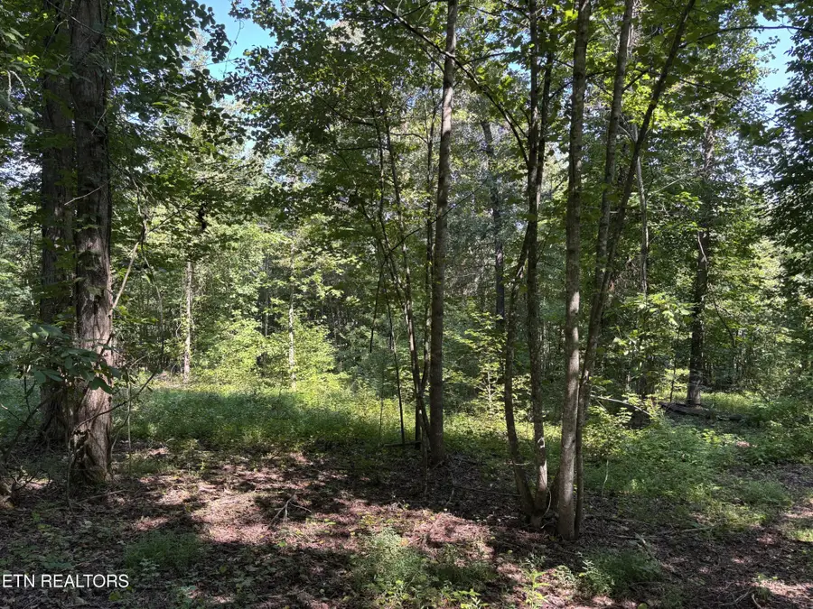 371 Walking Horse Tr, Rockwood, TN 37854 - Image #2