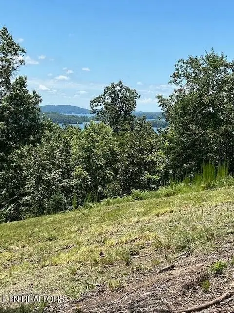 0 W Mountain Drive, Rockwood, TN 37854 - Image #2