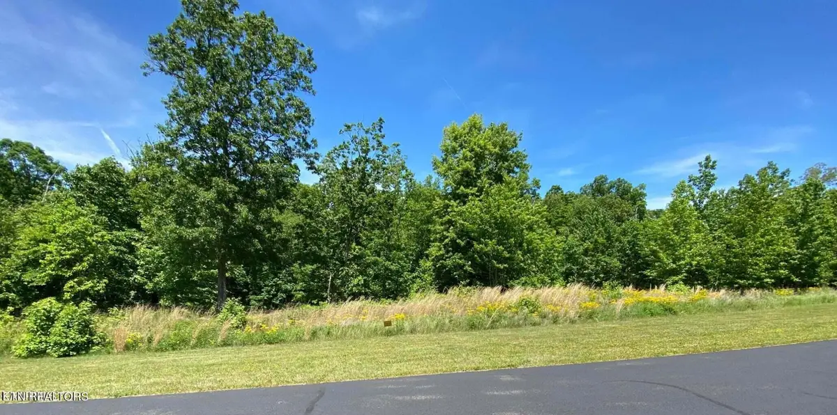 0 Water View Drive, Rockwood, TN 37854 - #1